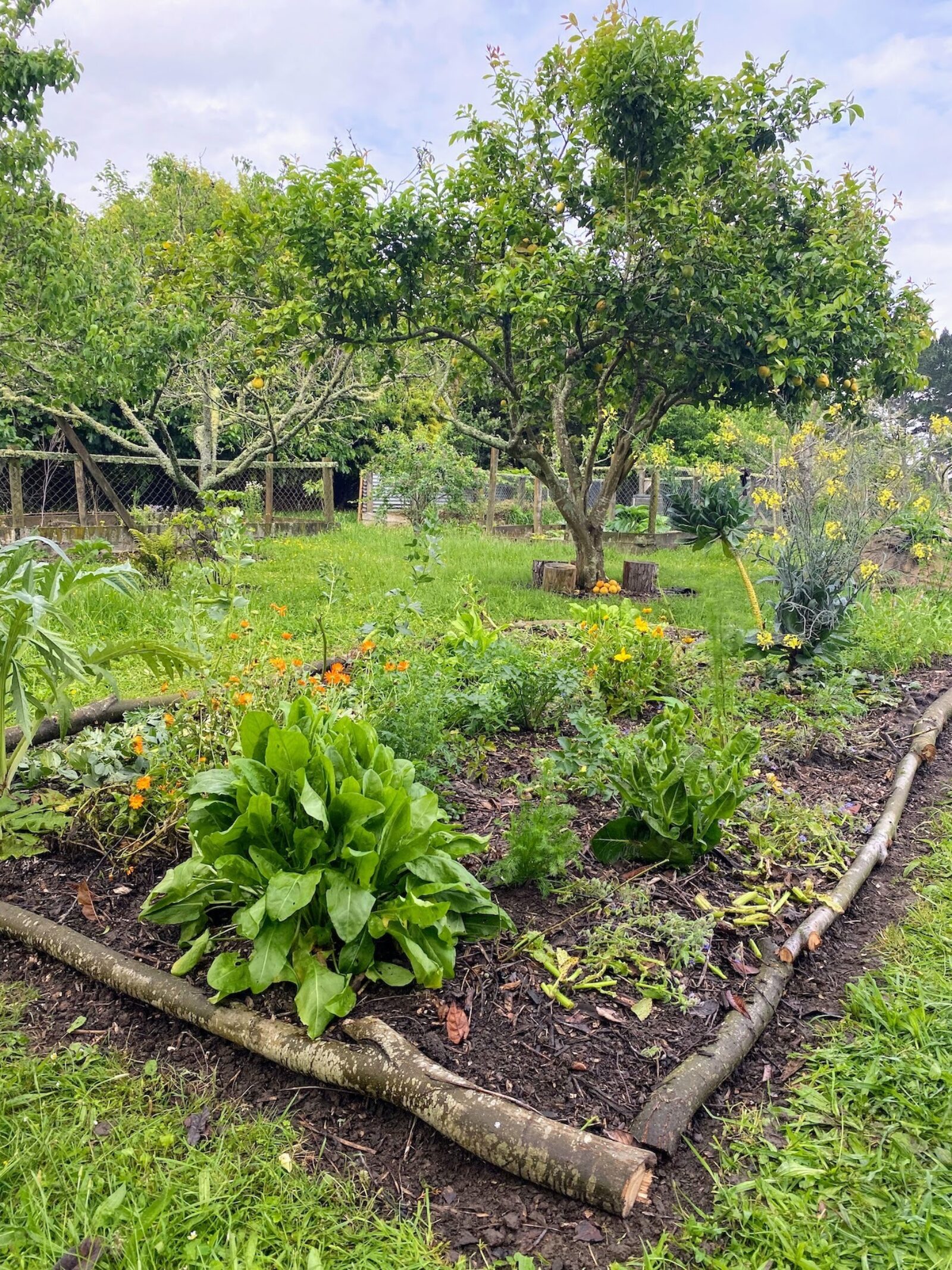 Spring garden bed